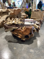 Sono and Teak Root Coffee Table
