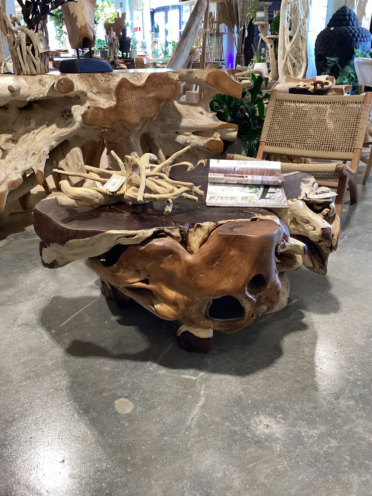Sono and Teak Root Coffee Table