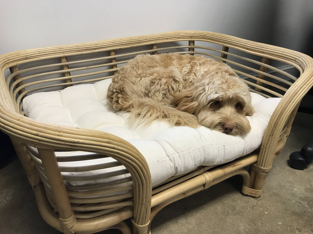 Cane dog bed fashion