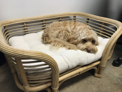 Natural Fiber Woven Dog Bed with Cushion