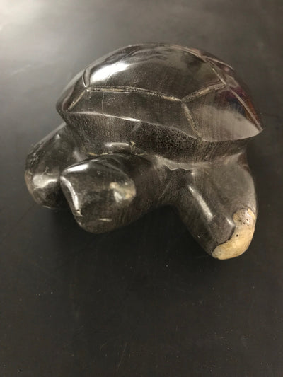 Petrified Wooden Turtle