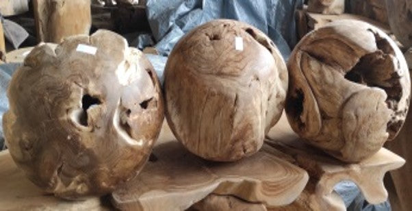 Teak Root Ball