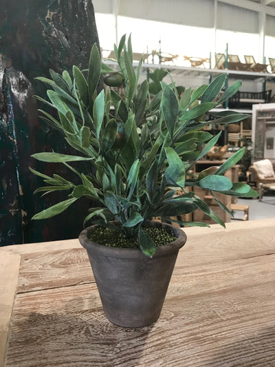 Faux Small Olive Plant