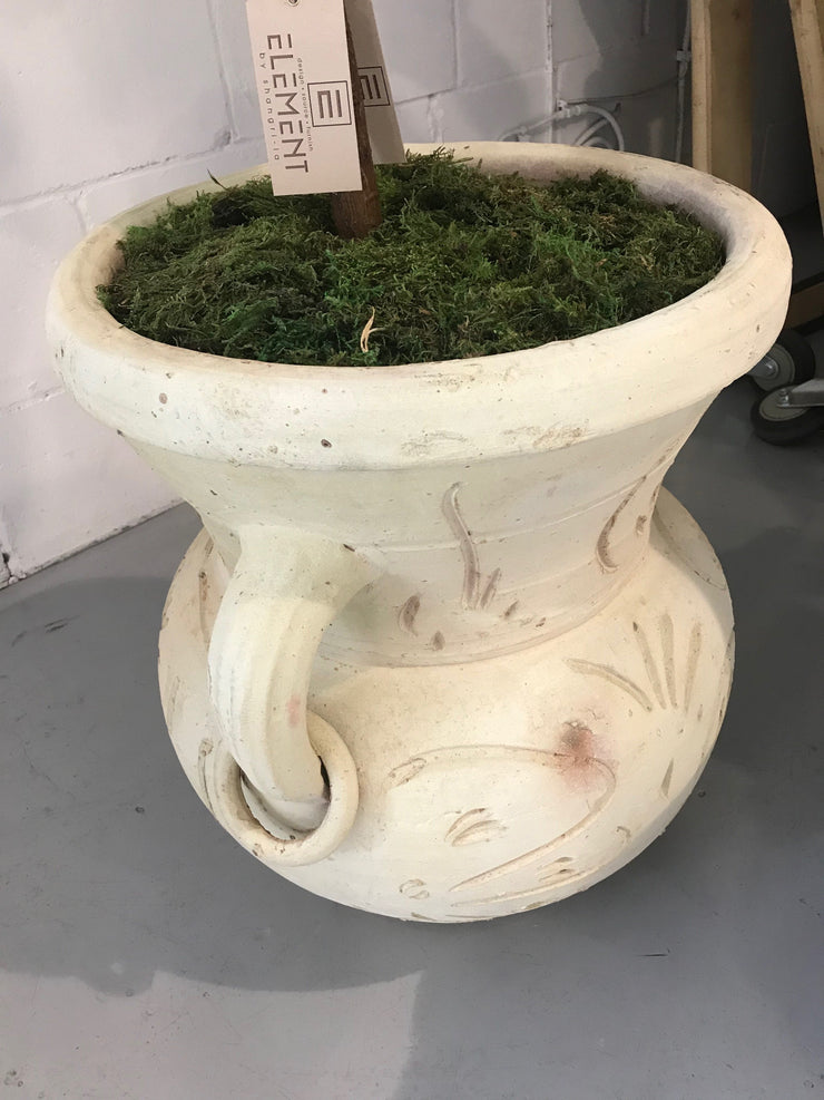 Tall Clay Pot
