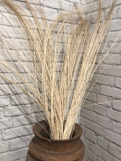 Dried Straw Palm